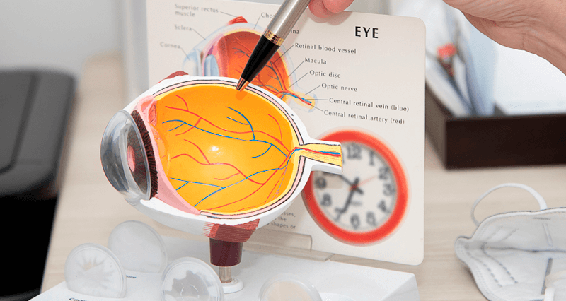 Акция! Лечение вторичной катаракты всего за 6000 рублей